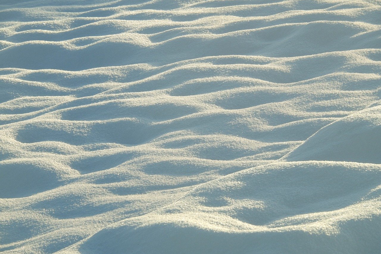 ソーセージの皮をパリッと焼くコツとは？